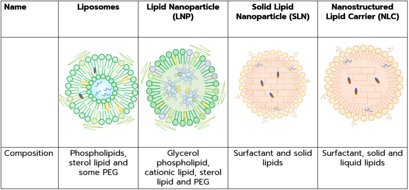 Drug Delivery Products :: Phospholipids and Lipids for LNP and