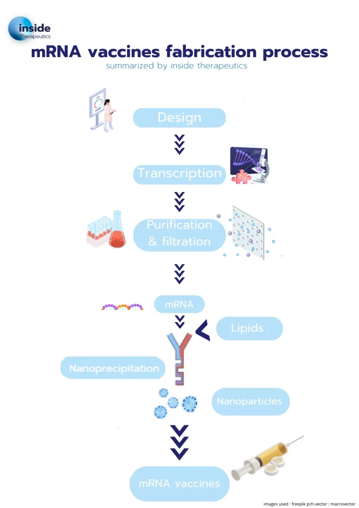 mRNA vaccines fabrication process