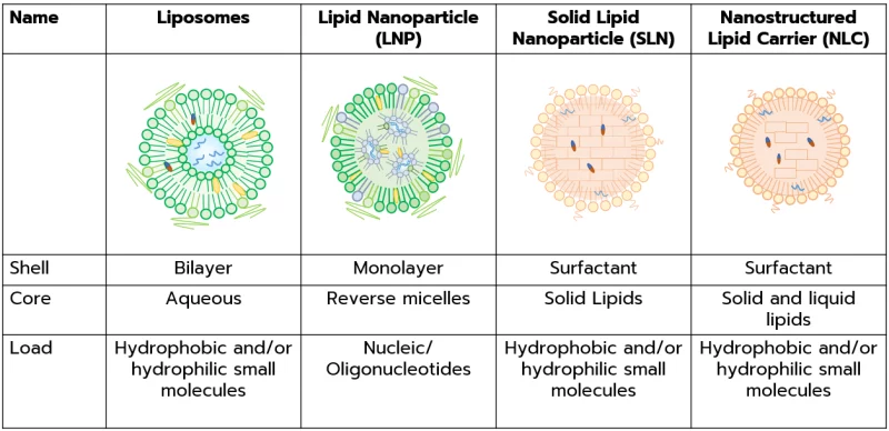 Lipid based nanoparticles/liposomes and organic nanoparticles composition and characteristics