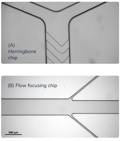 LNP-microfluidics-herringbone-flow-focusing