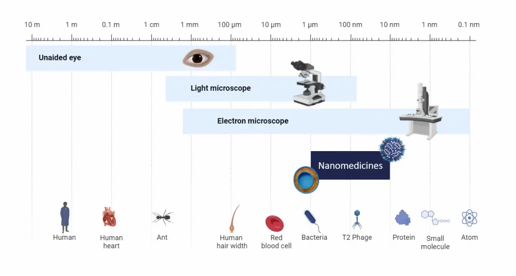 Illustration of the scale of nanomedicine compared to other biological and physical elements, and eyes and microscope range