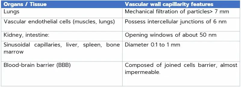 Table describing the vascular wall permeability and nanoparticle internalization process