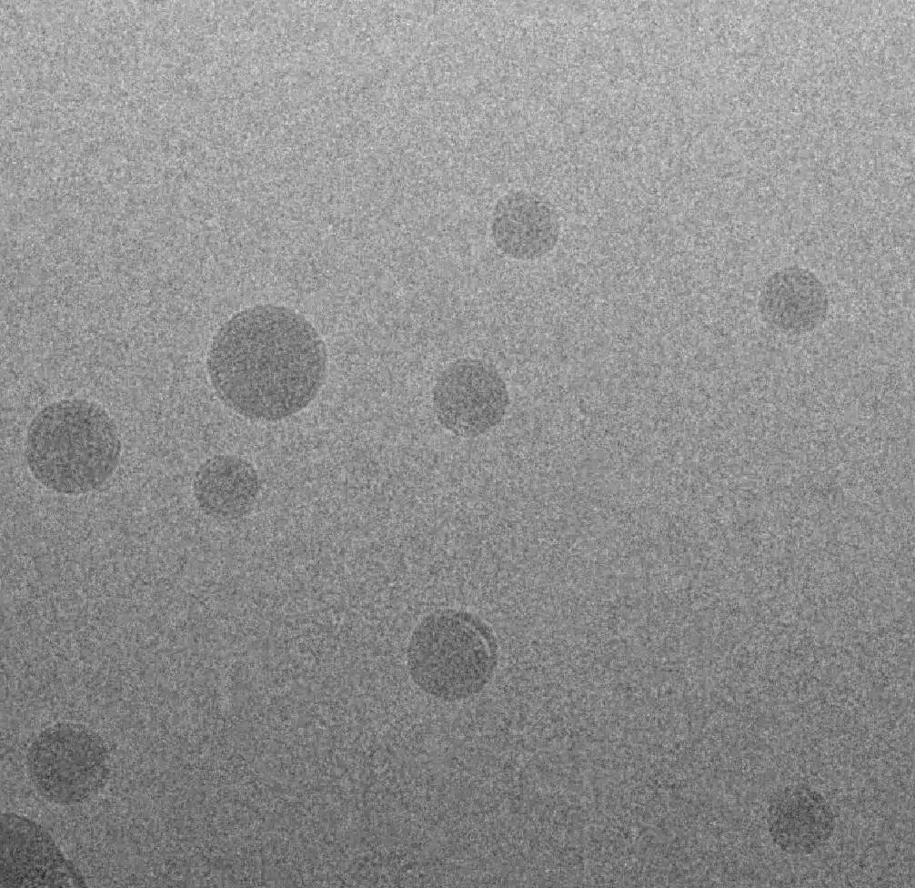 Image of the LNP under CRYO TEM