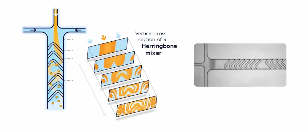 Fundamentals Of Microfluidic Mixing For LNP Synthesis Inside Therapeutics Fundamentals Of Microfluidic Mixing For LNP Synthesis Inside Therapeutics