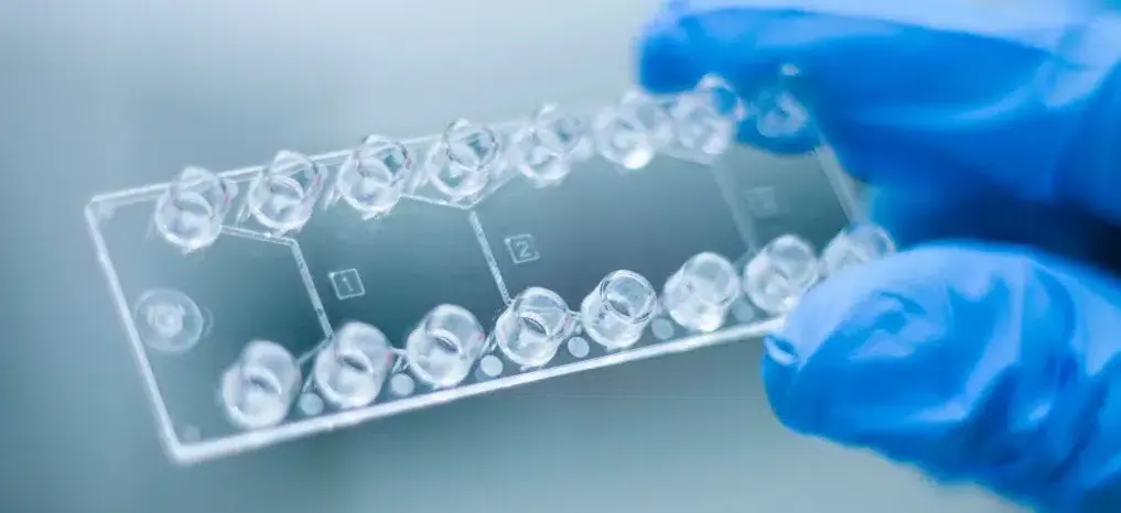 Microfluidic chip