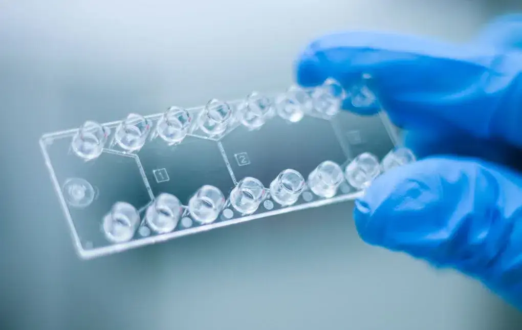 Microfluidic chip
