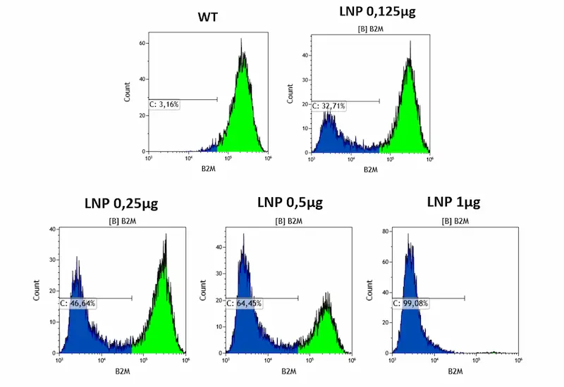 B2M knockout efficiency in HSC cells at five gRNA doses (0 µg control, 0.125 µg, 0.25 µg, 0.5 µg and 1µg) delivered via LNPs and quantified by flow cytometry.