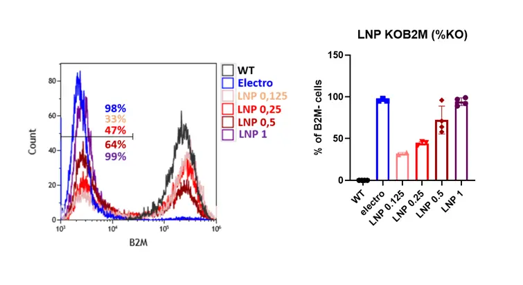 Comparison of B2M knockout efficiency in HSC cells between LNP-delivered samples across four doses and electroporated benchmark.