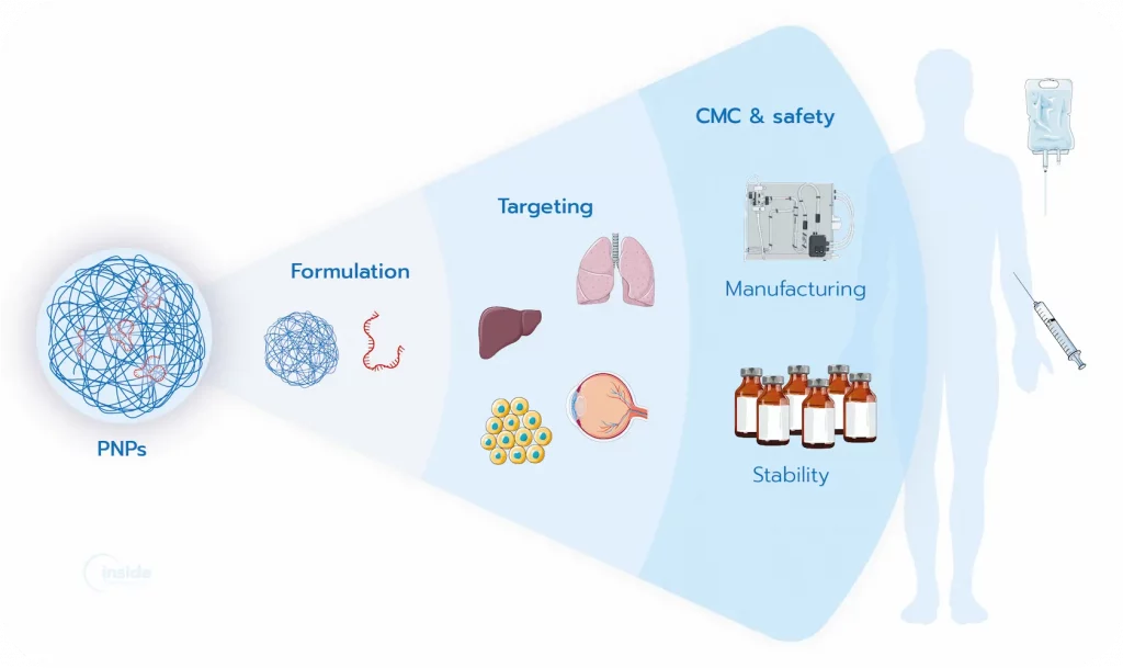 Illustration strengths and current challenges of PNPs