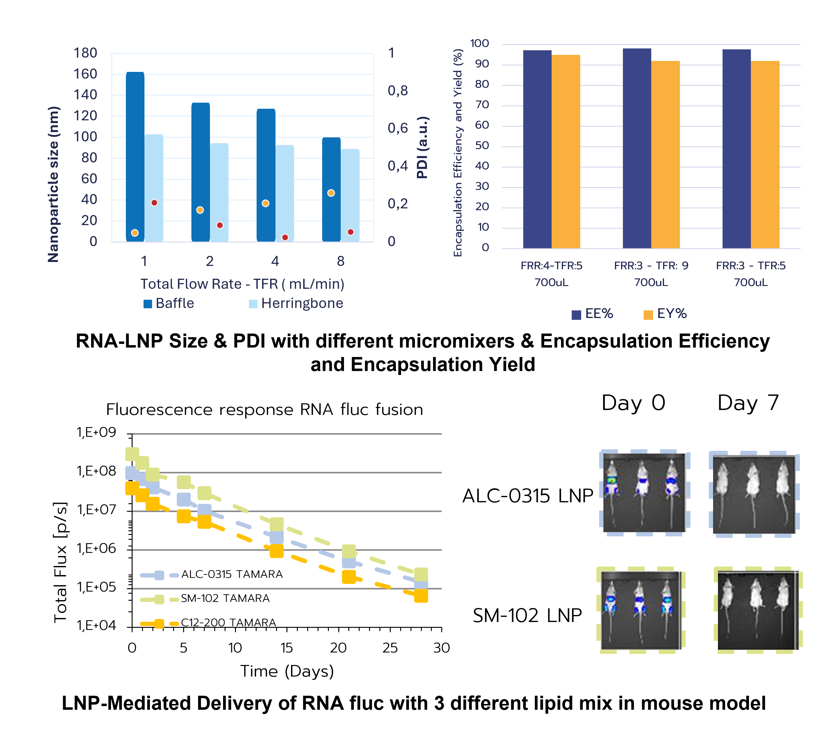 RNA-LNP-size-PDI-EE-and-In-vivo