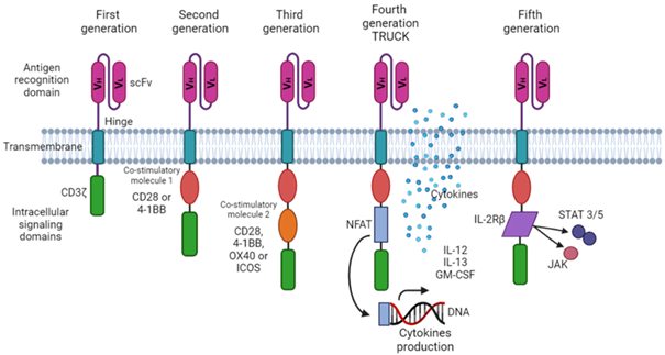 Figure 1. Evolution of the CAR T cell design. [3]