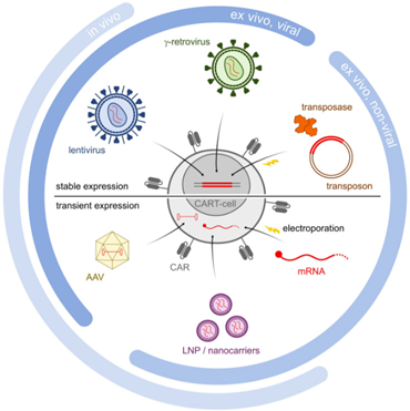 in-vivo CAR-T engineering the role of mRNA-LNP technologies - Inside ...