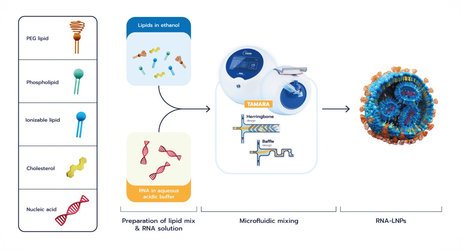 RNA-LNP Formulation Protocol (SM-102) - Inside Therapeutics