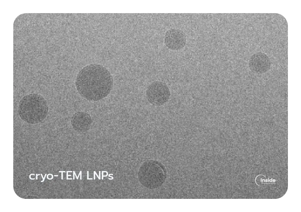 Cryo TEM LNPs