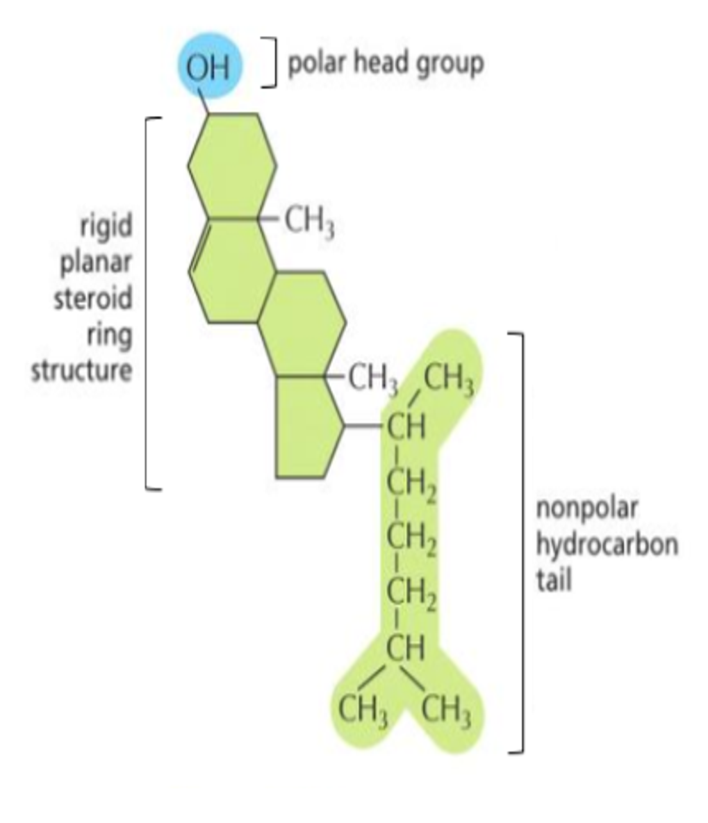Lipid nanoparticles: a complete guide to understanding LNP - Inside ...