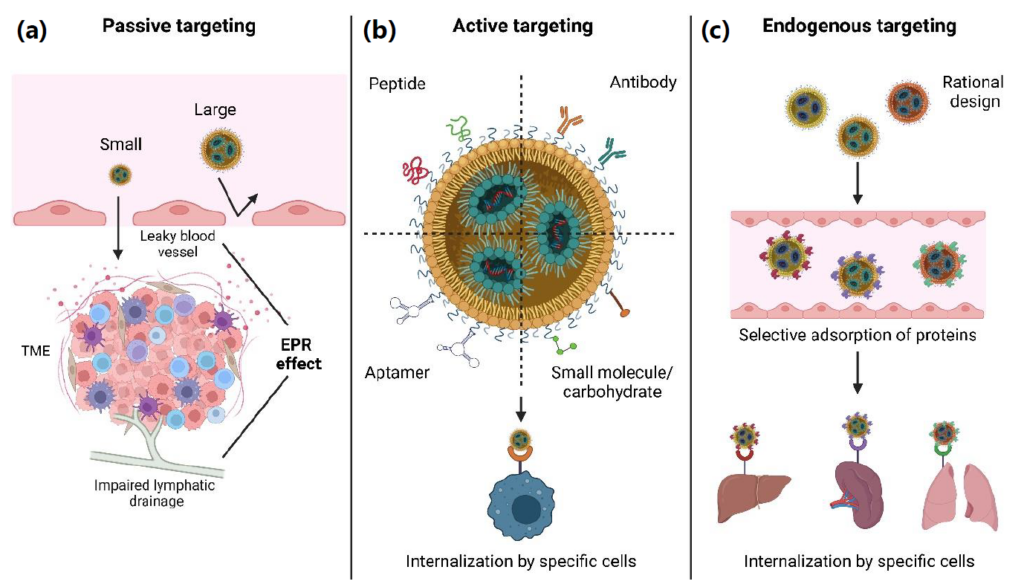 Lipid nanoparticles: a complete guide to understanding LNP - Inside ...