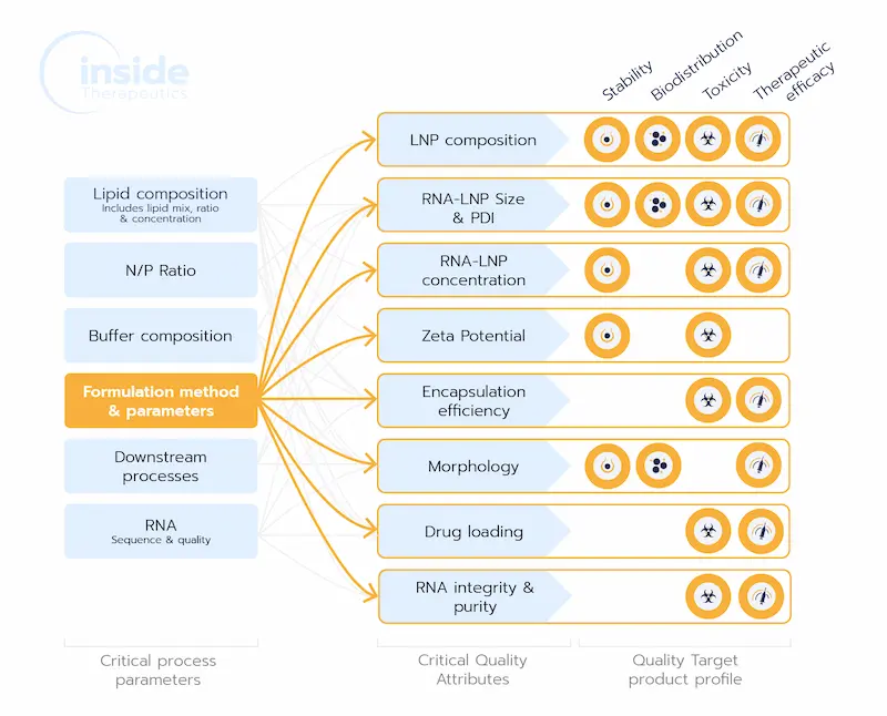 Relationship between formulation process, CQA & Biology in RNA-LNP