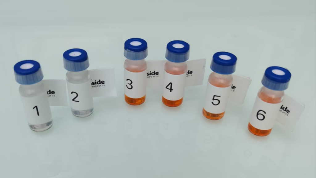 Inside TX - LNP samples for formulation services