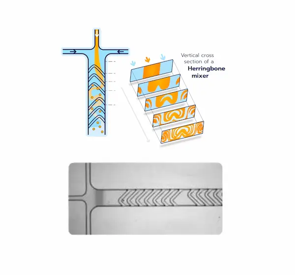 Microfluidic Herringbone Mixer